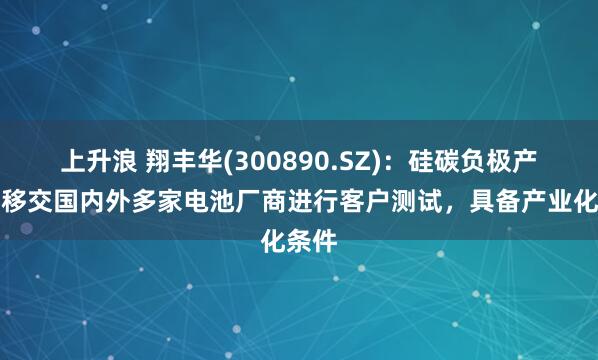 上升浪 翔丰华(300890.SZ)：硅碳负极产品已移交国内外多家电池厂商进行客户测试，具备产业化条件