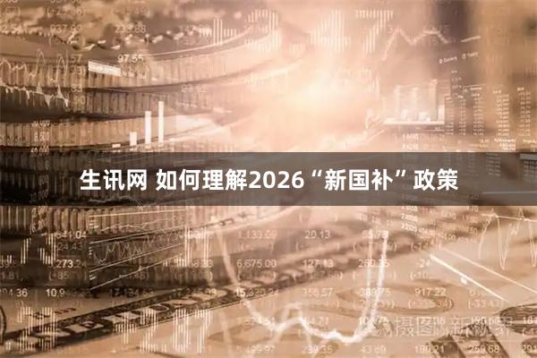 生讯网 如何理解2026“新国补”政策