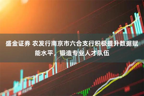 盛金证券 农发行南京市六合支行积极提升数据赋能水平，锻造专业人才队伍