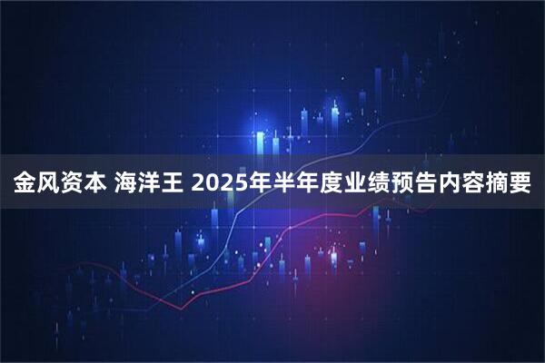金风资本 海洋王 2025年半年度业绩预告内容摘要