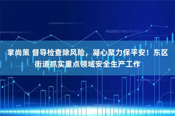 掌尚策 督导检查除风险，凝心聚力保平安！东区街道抓实重点领域安全生产工作